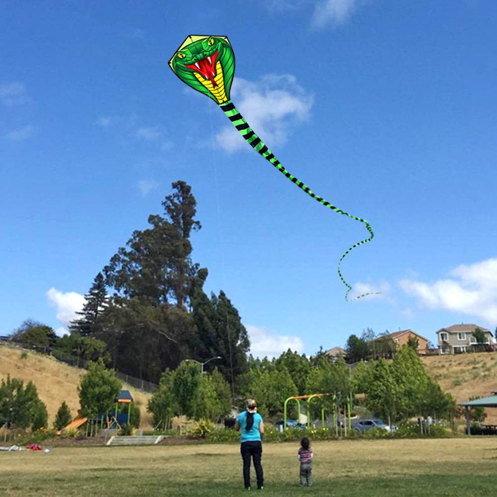 Змея/змея мощная, 8/15 м – обзор и цена Kite Wind Outdoor