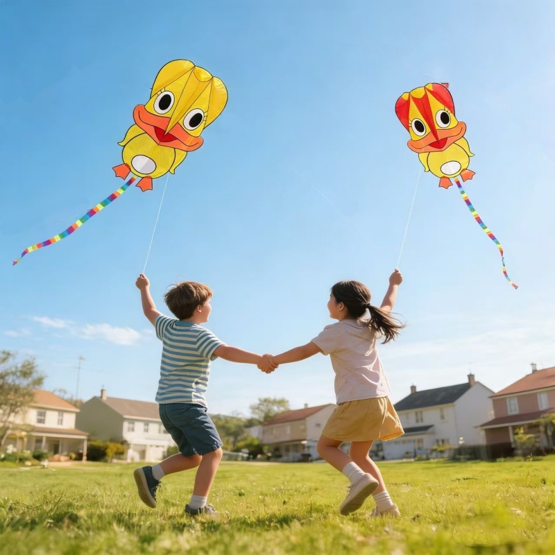 Надувные воздушные змеи: утины – обзор и цена Kite Wind Outdoor